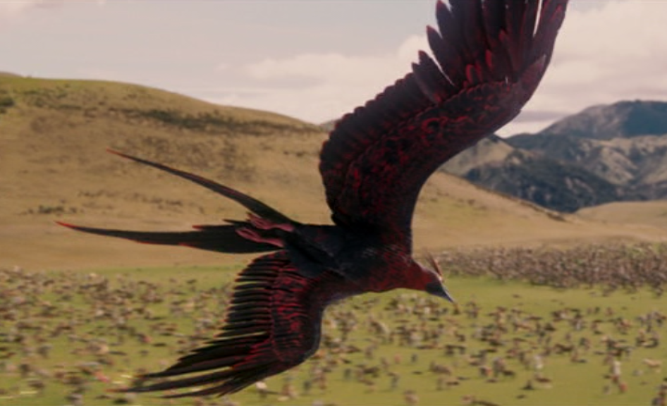 phoenix unnatural world wiki fandom powered by wikia phoenix bird facts