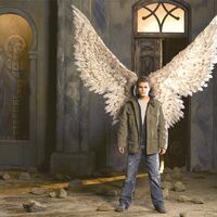 Nephilim Unnatural World Wiki Fandom