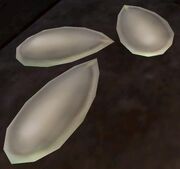 Seeds