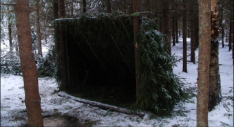 Shelter Unreal World Wiki Fandom