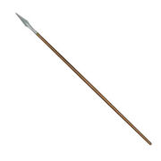 CommonSpear