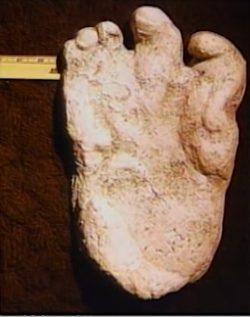 Yeti4 footprint