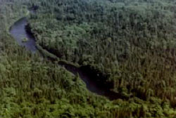 Allagash1 wilderness
