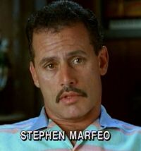 Stephen marfeo