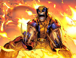 Wolverine
