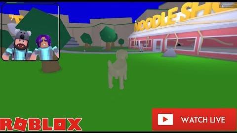 Video Noodletopia Hangout Grand Opening Live Roblox - the roblox live hangout