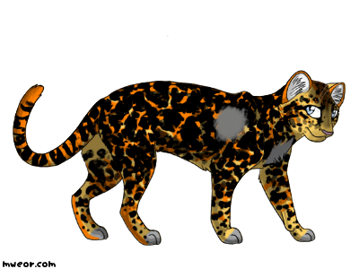 Gingerz New Pelt