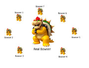 The REAL Bowser Family