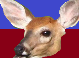 TamingLOL