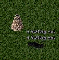BulldogAnt