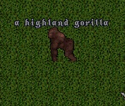 HighlandGorilla