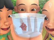 Ikan laga menarik
