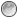 SilverIcon