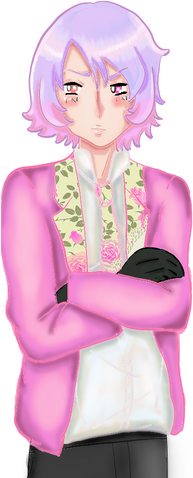 File:MirinProfile.png
