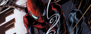 Intensespider