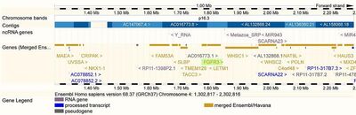 EnsEMBL Web Component Location ViewTop-Homo sapiens-Location-View-68-10