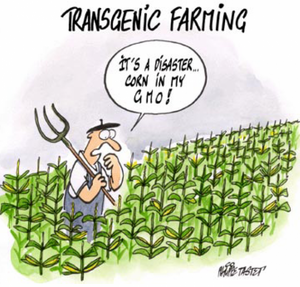 Bioethics