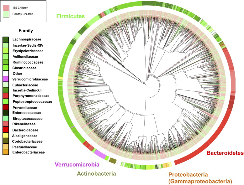 Metagenomic-wide Association Study Of Gut Microbiota In Type 2 Diabetes ...