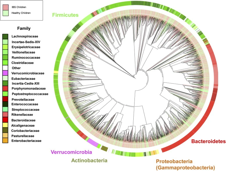 Metagenomic Analysis Of The Human Distal Gut Microbiome