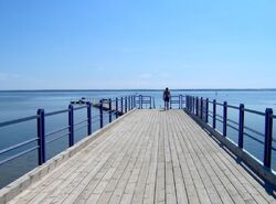 Pier