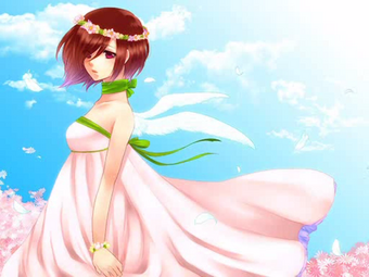 Get Wallpaper  Desktop Wallpaper Free