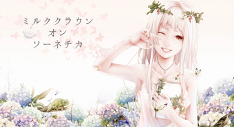 ミルククラウン オン ソーネチカ Milk Crown On Sonnetica