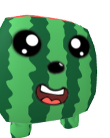 Watermelon Vacuum Simulator Wiki Fandom - codes for vacuum simulator in roblox wiki