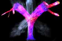 VSShadow