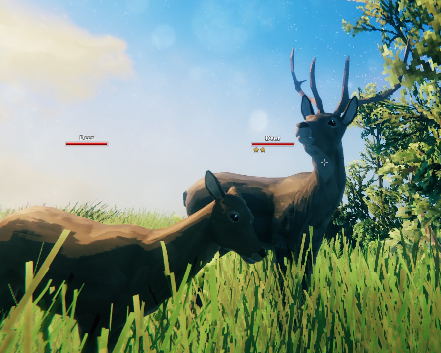 Deer