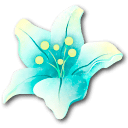 Stellar Bloom