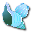 Beach Shells