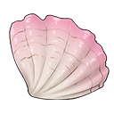 White-Wave Seashell