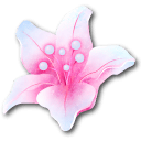 Flame Bloom