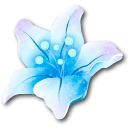 Frost Bloom