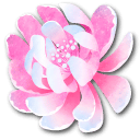 Flame Flora