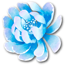 Frost Flora