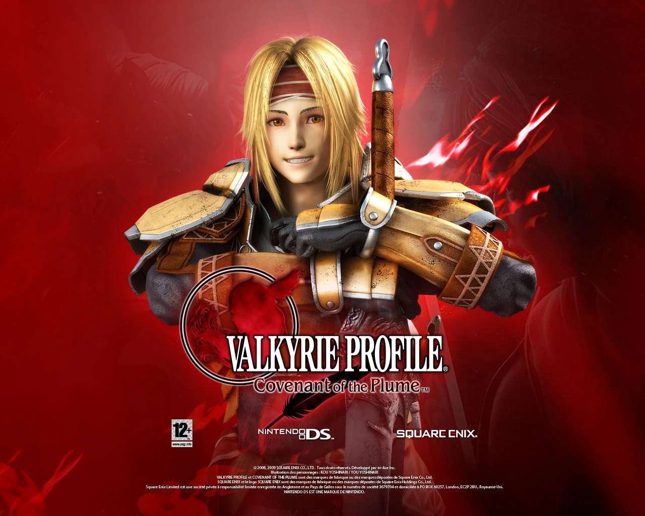 Image Valkyrie profile covenant of the plume wall 8.jpg Valkyrie Profile Wiki FANDOM
