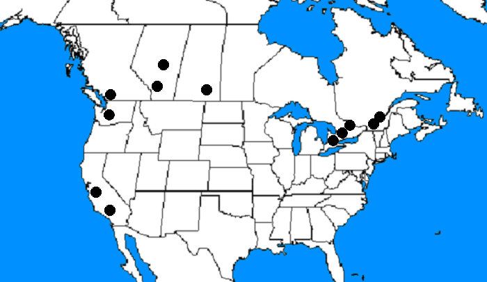 CHL map