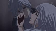 Vampire Knight - 13 - Large 01