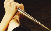 Rose's training sliver stake