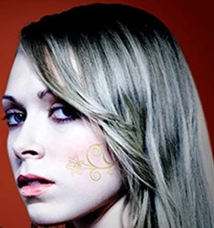 Alchemists | Vampire Academy Series Wiki | FANDOM powered by Wikia