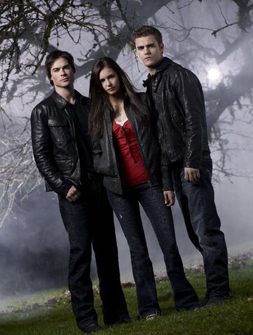 File:The-vampire-diaries-771x1024.jpg