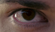 Tyler Manipulation