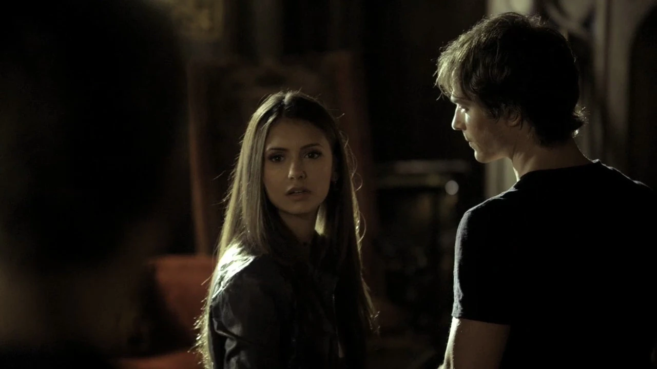 Elena und Damon Vampire Diaries Wiki FANDOM powered by Wikia