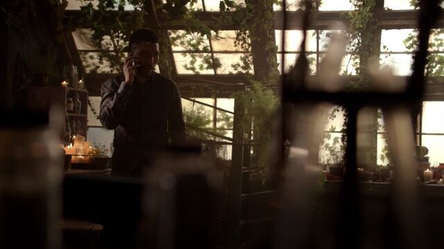 File:Normal TheOriginals210-1502Vincent.jpeg
