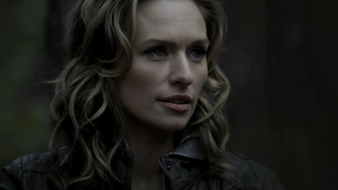 Bild 1329278662 thevampirediaries2x14cryingwolfjulescap.jpg