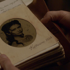 Stefan's Diary | The Vampire Diaries Wiki | Fandom