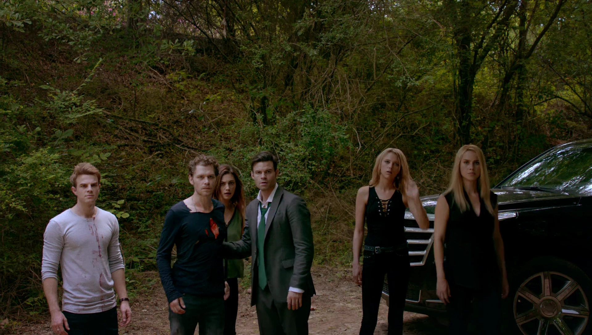 Mikaelson Family The Vampire Diaries Wiki Fandom