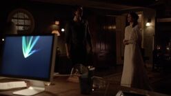 6X17-116-DamonLily