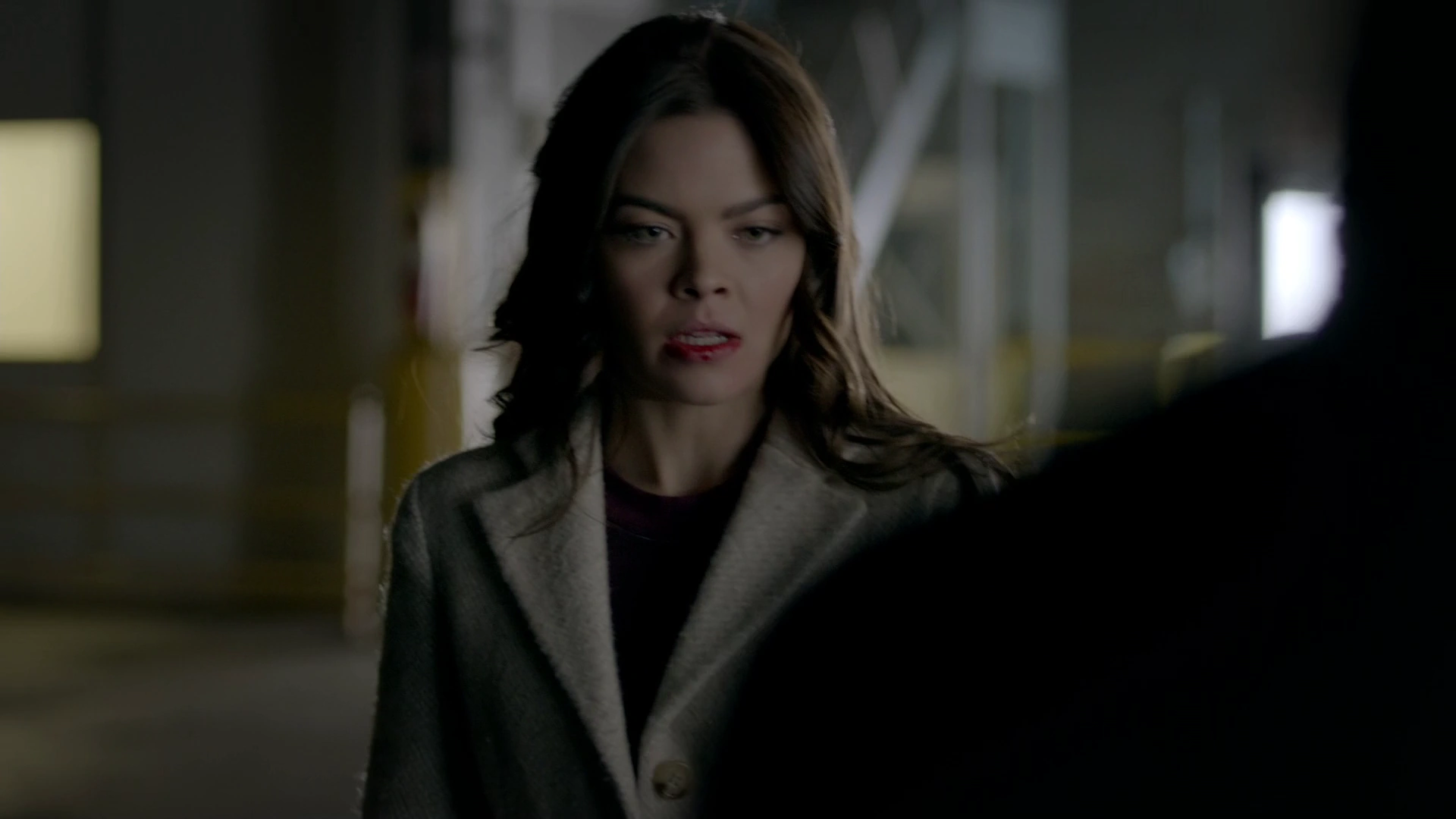 alison brie unikitty